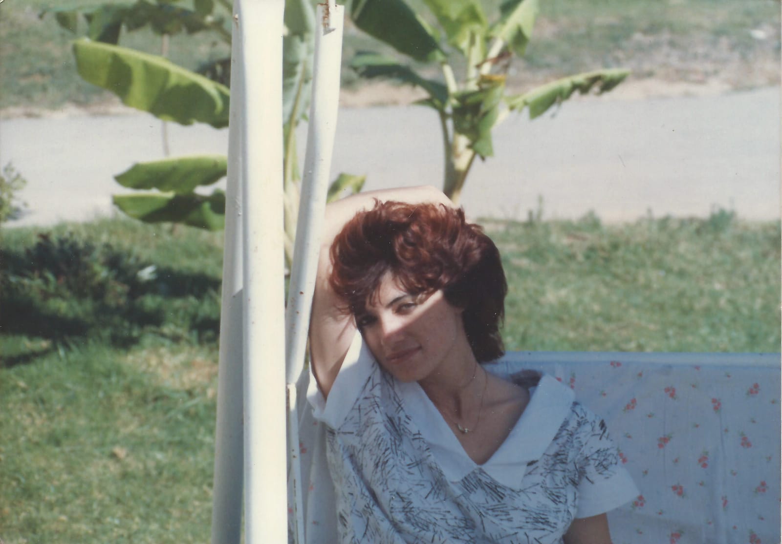 תמונה של חיה