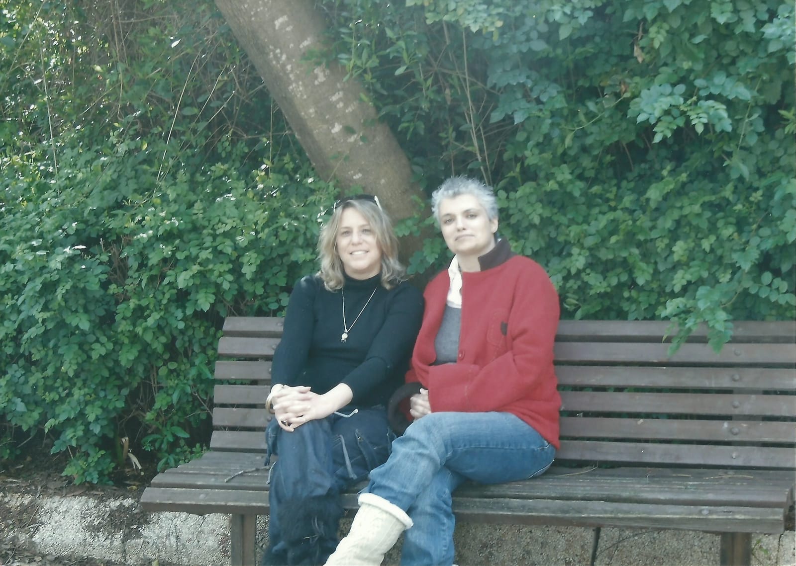 תמונה של חיה