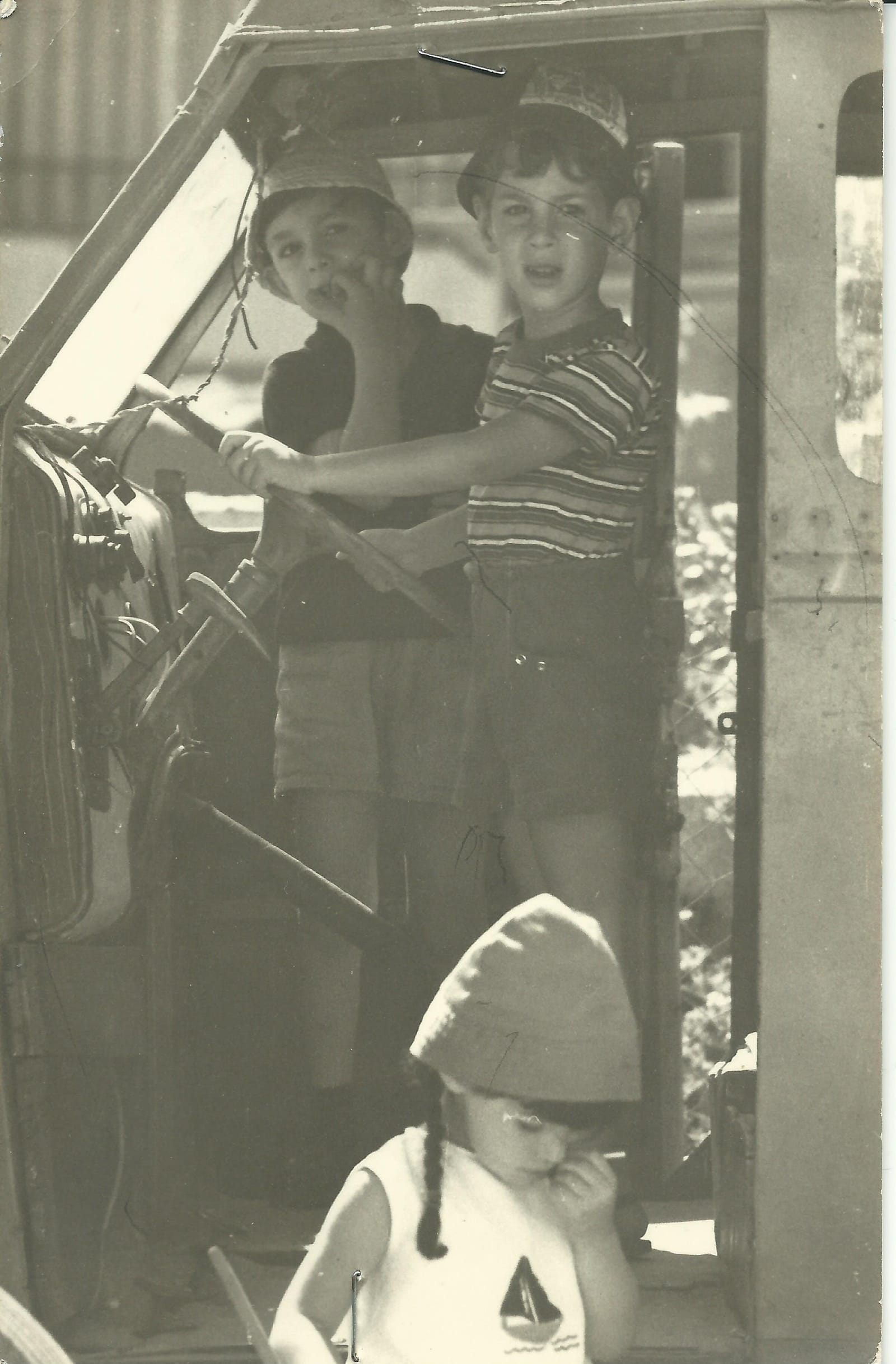 תמונה של חיה