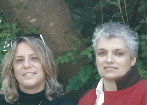 תמונה של חיה