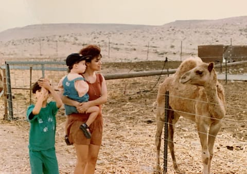 תמונה של חיה