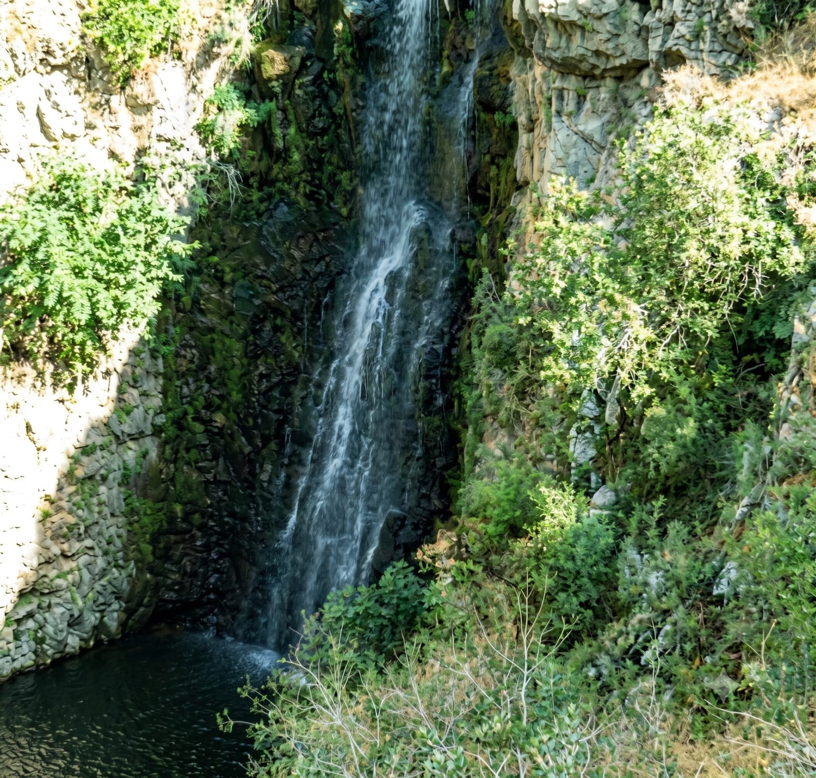 תמונה מתוך "הטיול השנתי - או- בת הזקונים יוצאת לעצמאות."